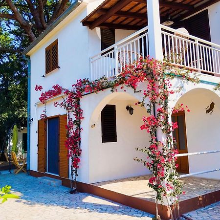 Holiday House Pinus Pinea فيغاني المظهر الخارجي الصورة