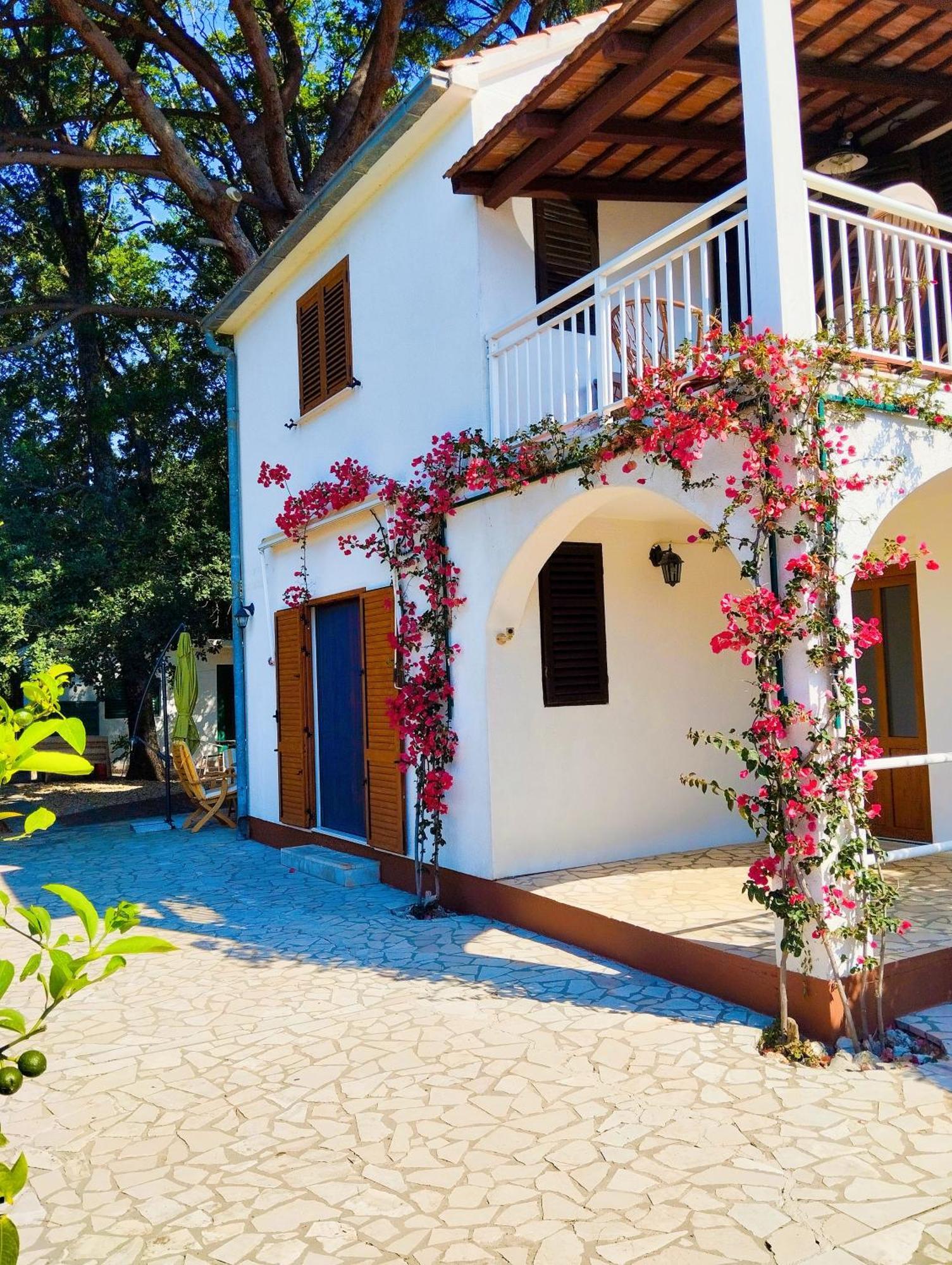 Holiday House Pinus Pinea فيغاني المظهر الخارجي الصورة