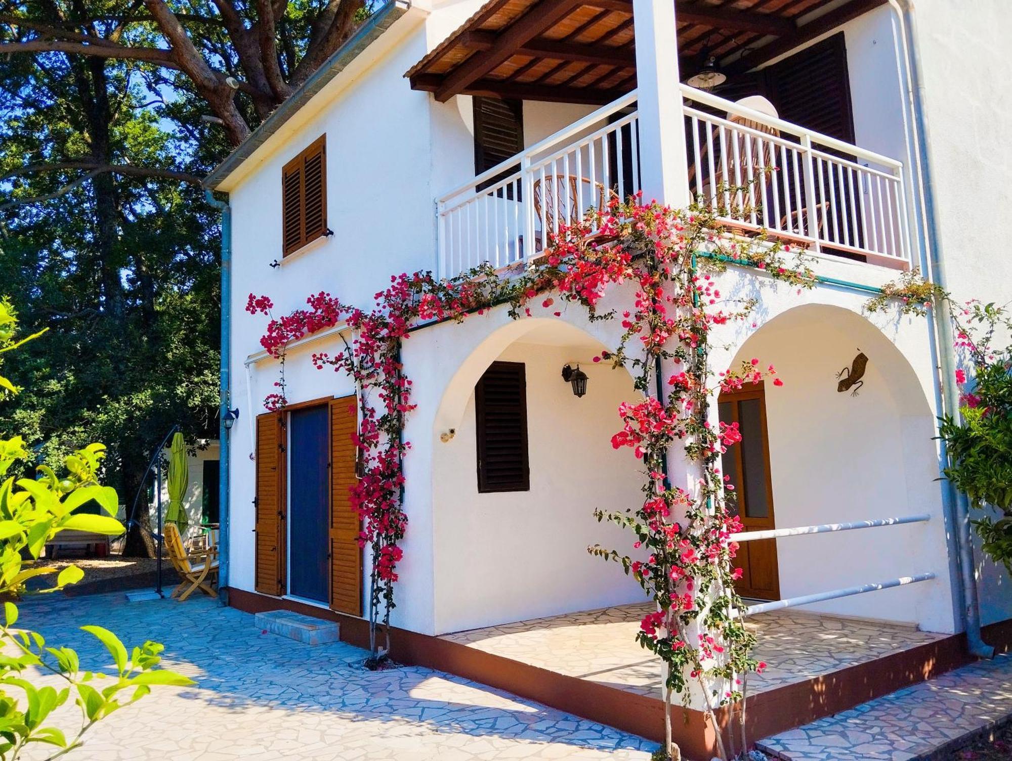 Holiday House Pinus Pinea فيغاني المظهر الخارجي الصورة